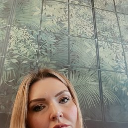 ���� �����, ���������, 41 ��� - ��������� 29 ������ 2025