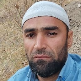 ����, �����-���������, 33 ����