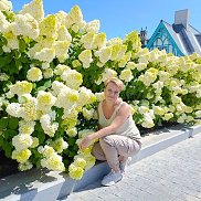 , 36 , 