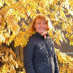 ���� �������, ���������, 58 ��� - ��������� 27 ������� 2023