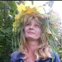 ������, ������-��-����, 44 ����