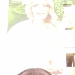 , 38 , 