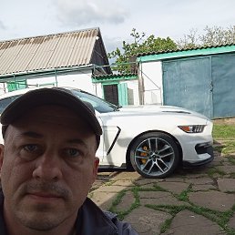 , 33, 