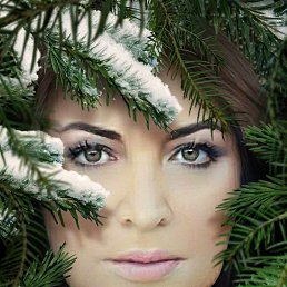 ��������, ���������, 65 ���