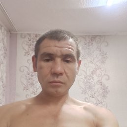 , 37, 