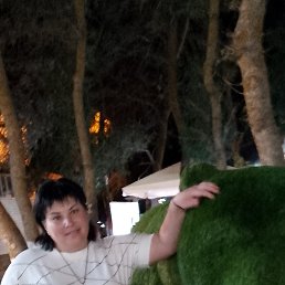 , 50, 