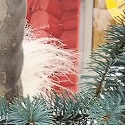 Vladimir, 85 ���, ������