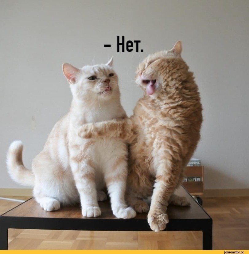       - 3  2025  13:03 - 2