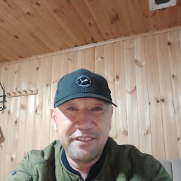 , 41, 