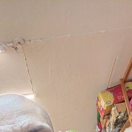 , 42, 