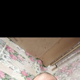  , 33 , 