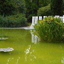 ���� ���������, ���������, 64 ���� - ��������� 15 ����� 2025