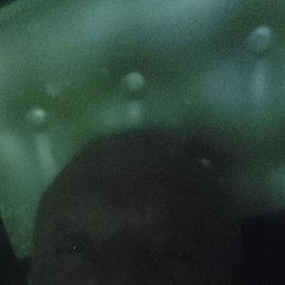 ���� ������, ����������, 37 ��� - ��������� 9 ���� 2024