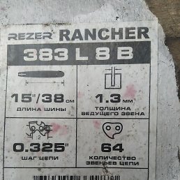 �����, ���������, 37 ���