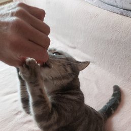 ���� �������, �������� - ��������� 20 ������� 2025