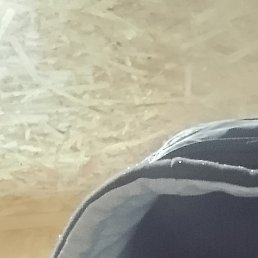 ������, ������, 55 ���