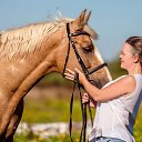 ���� ���������, �����-���������, 44 ���� - ��������� 9 ������� 2026 � ������ ���� ����������