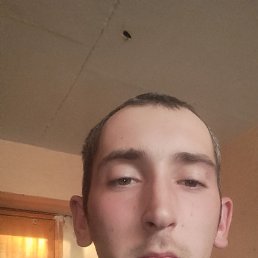 , 26, 