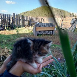 ���� ������, �����������, 57 ��� - ��������� 26 ������� 2023