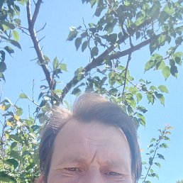 , 49, 