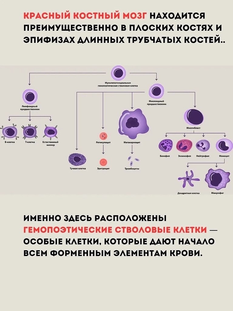 ��� ���������� �����? ������� �������� ����� � ��� ������� ������� ����. �� ��������� ������ ������ ... - 7
