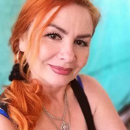 �������, ���������, 48 ���