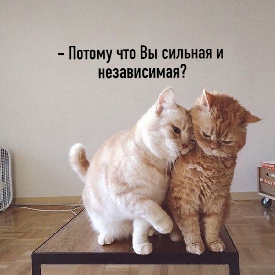       - 3  2025  13:03 - 3