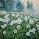 ���� ��������� ������������, ������, 49 ��� - ��������� 5 ������ 2025