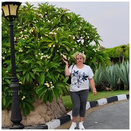 svta, 53, 