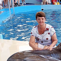 ����, ���������, 61 ���