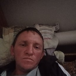 , 37, 