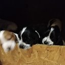 ��� ���� �� ������� ���� ����������