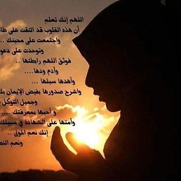 ������, ��������, 49 ���