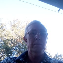 , 65, 