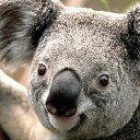  ϸ, , 60  -  12  2025    