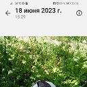 ���� �����, ��������, 52 ���� - ��������� 12 ������� 2023 � ������ ���� ����������