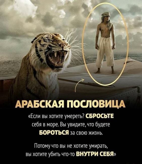 ₪╬═►  ||  ||  ◄═╬₪ - 18  2023  10:20