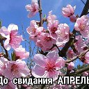 ���� �����, ������ - ��������� 30 ������ 2026 � ������ ������ ��������