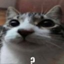 ���� ������, ������, 23 ���� - ��������� 29 ������ 2024 � ������ ���� ����������