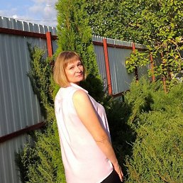 ������, �����, 44 ����