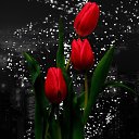 ���� ���������, �������-��������� - ��������� 8 ������ 2025 � ������ ������� ����������