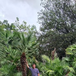 ����, ���������, 44 ����