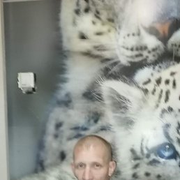 ���� ����, ����, 43 ���� - ��������� 7 ������ 2026