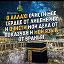 ���� ����, ������, 43 ���� - ��������� 31 ������� 2025 � ������ ������ ��������