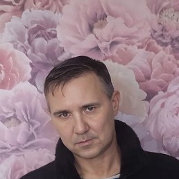 Bars, 49, 