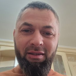 �����, ��������, 41 ���