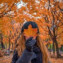  , -, 44  -  11  2025