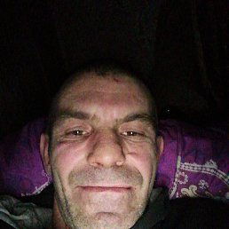 , 38, 