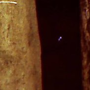 �����, 78 ���, ������