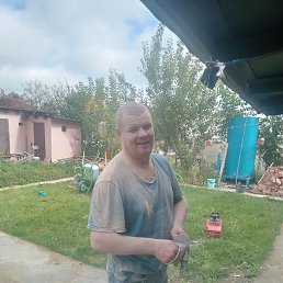 ��������� �������, ����, 41 ���